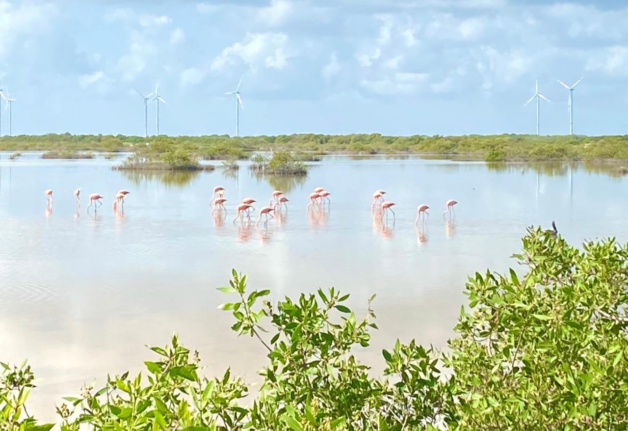 Villa La Casa Del Mangle à Pueblo Pueblo Chicxulub Extérieur photo