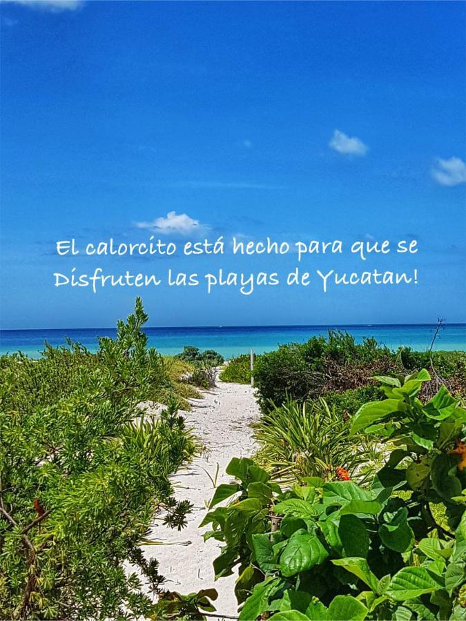 Villa La Casa Del Mangle à Pueblo Pueblo Chicxulub Extérieur photo